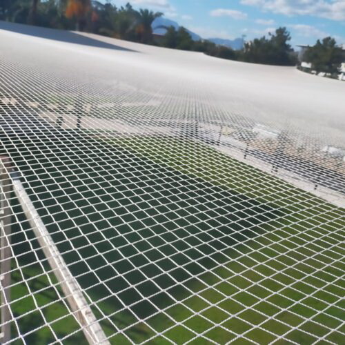 Dynamic Content Image